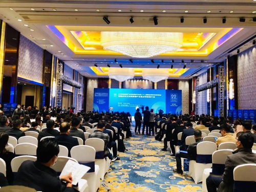 藝術(shù)新引擎，文旅新動(dòng)能——文化與旅游部產(chǎn)業(yè)精品項(xiàng)目交流對(duì)接會(huì)在我市盛大舉行